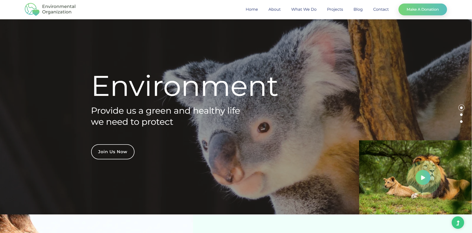NGo Theme 4