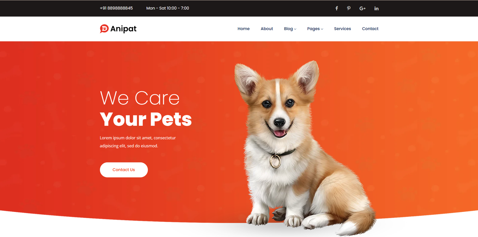 Pet Theme 1