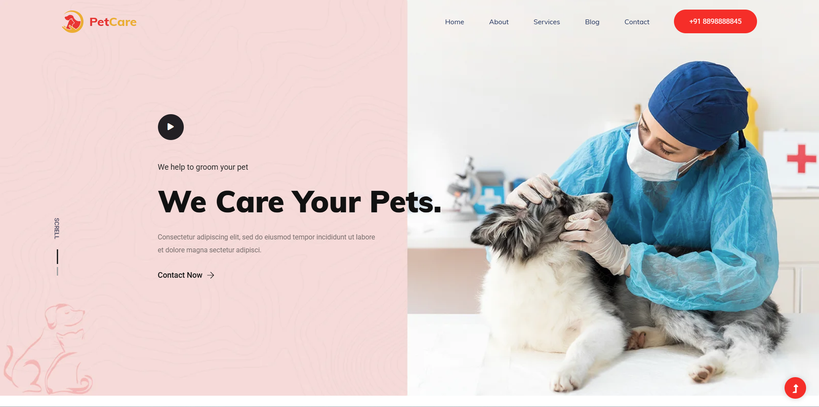 Pet Theme 3