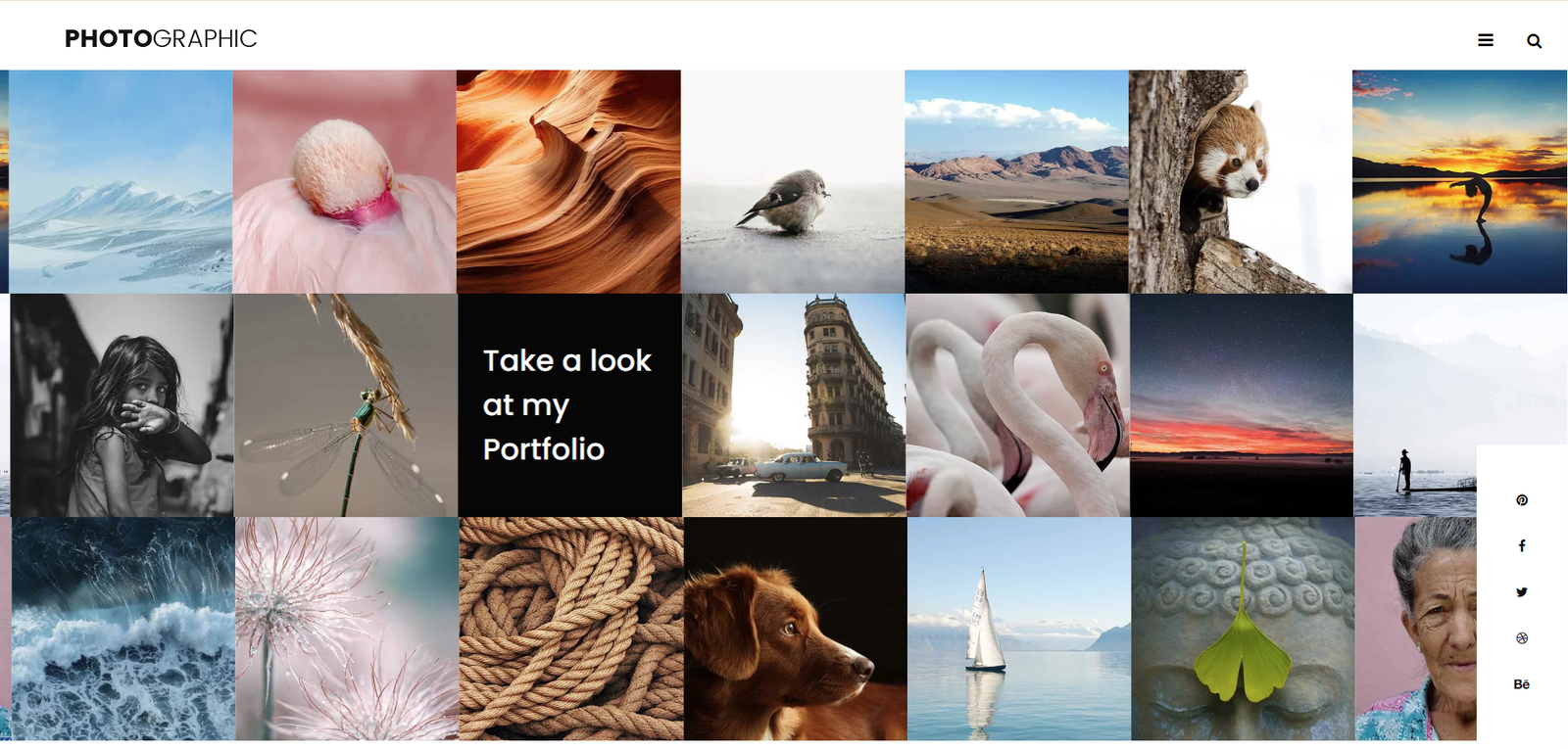 Photography Theme 18