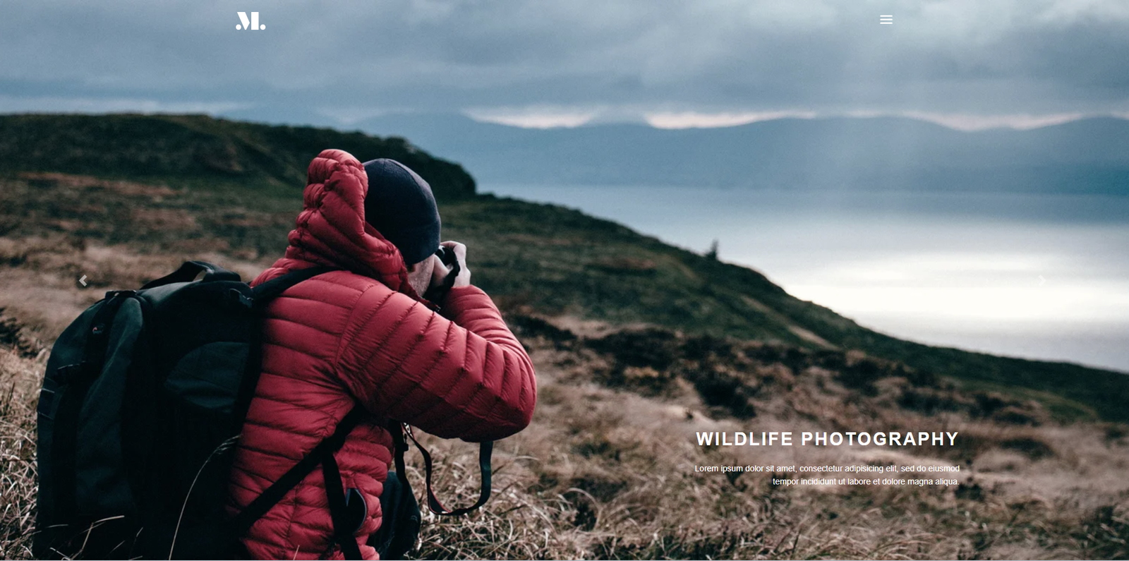 Photography Theme 20
