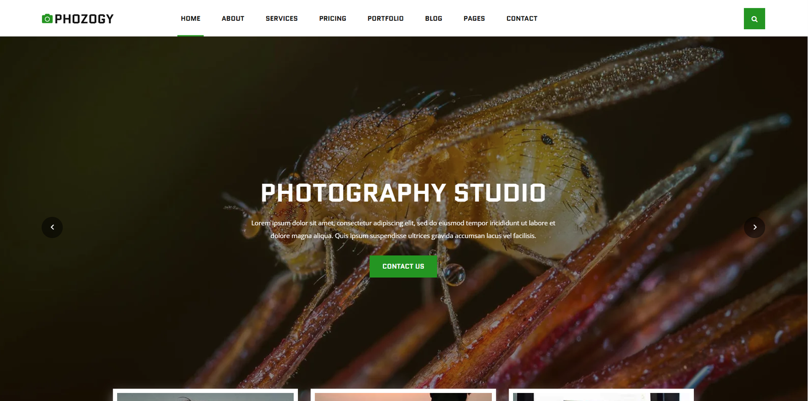 Photography Theme 25