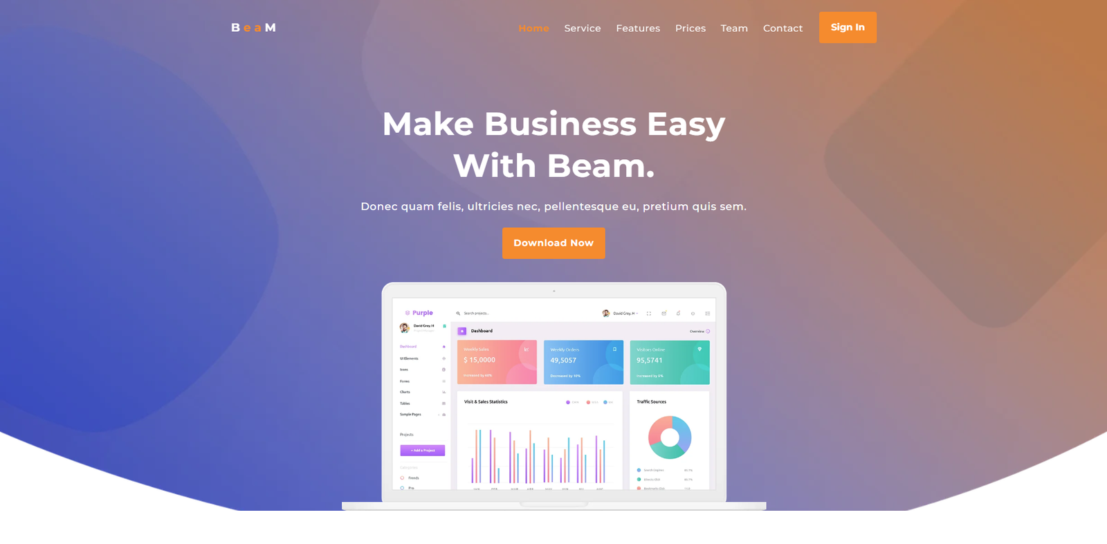 Web App Theme 11
