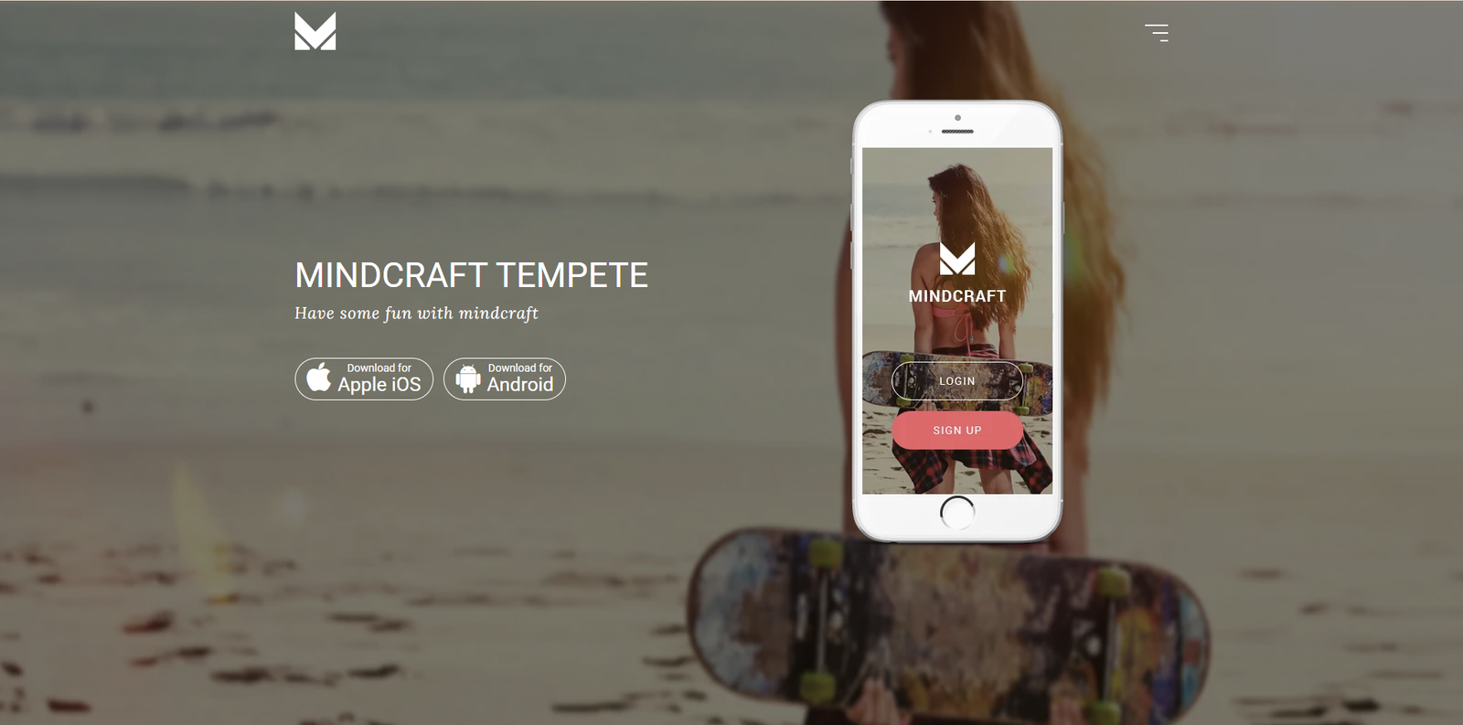 Web App Theme 17