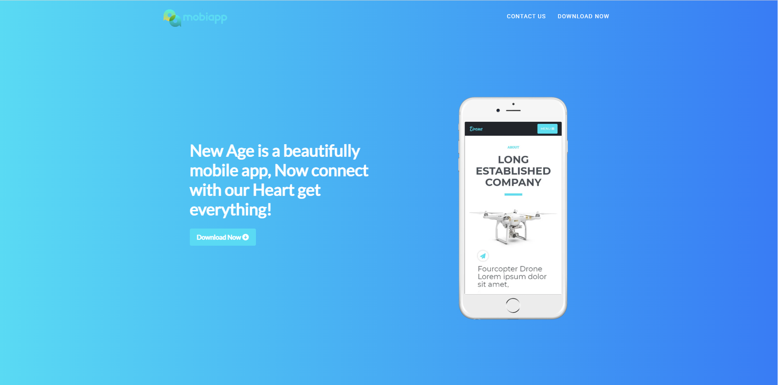 Web App Theme 19